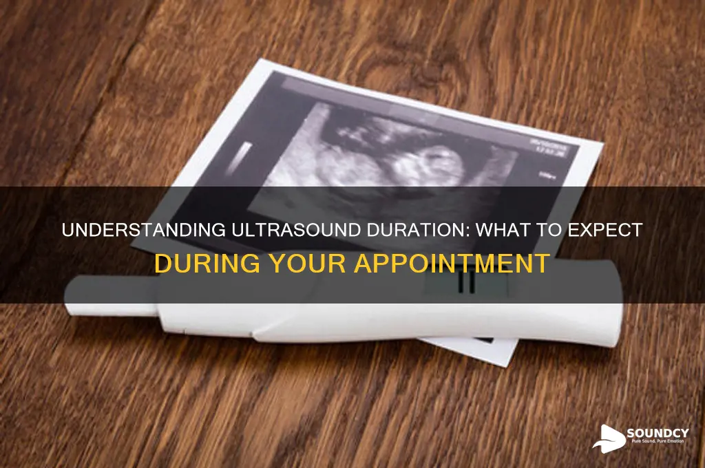how long for ultra sound
