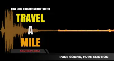 How Far Does a Gunshot Echo? Mile-Long Sound Travel Time
