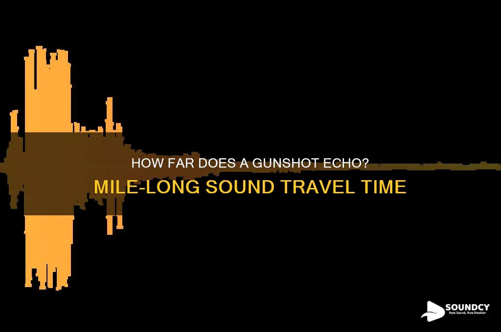 how long gunshot sound take to travel a mile