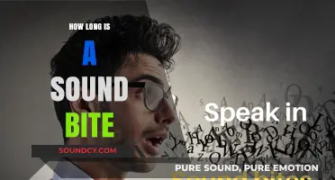 Understanding Sound Bite Length: How Long Should They Be?