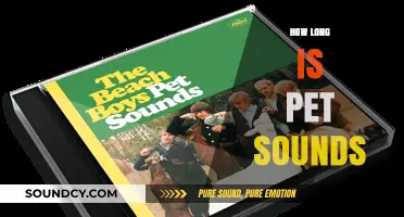 Exploring the Timeless Length of The Beach Boys' Pet Sounds