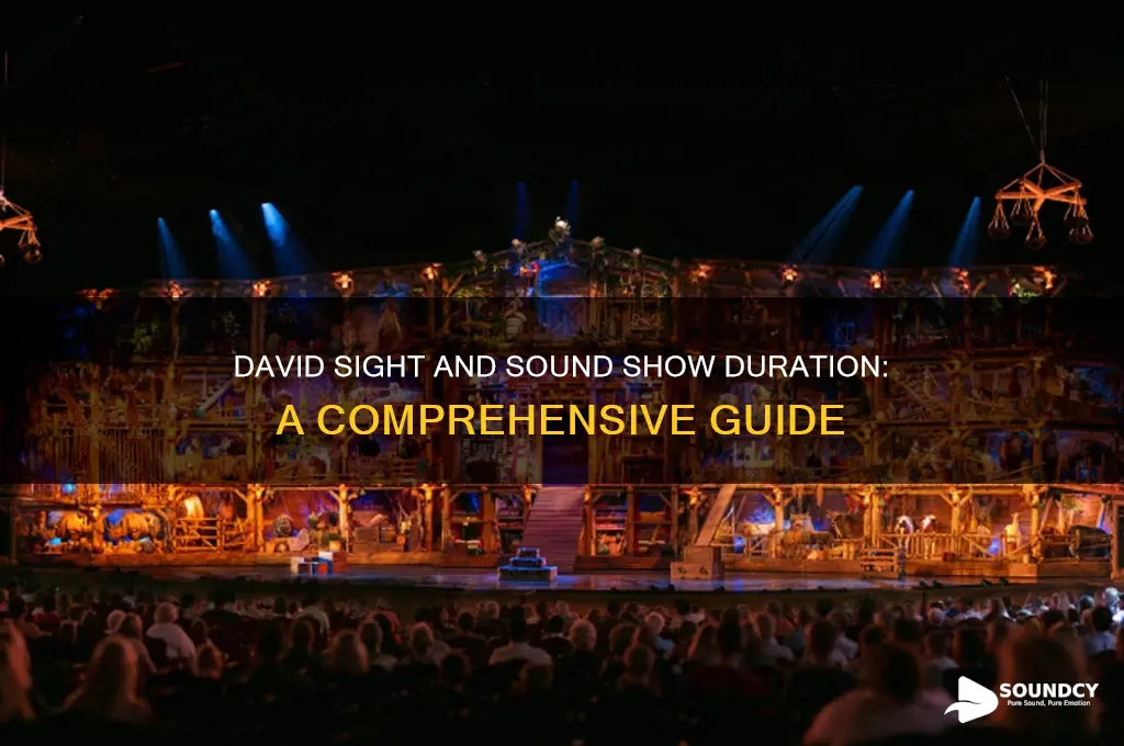 how long is the david sight and sound show