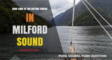 Exploring Milford Sound: Nature Cruise Duration and What to Expect