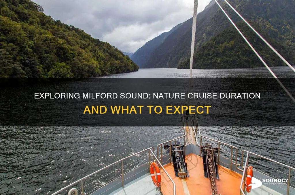how long is the nature cruise in milford sound