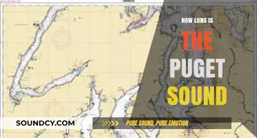 Exploring Puget Sound's Length: A Comprehensive Guide to Its Size