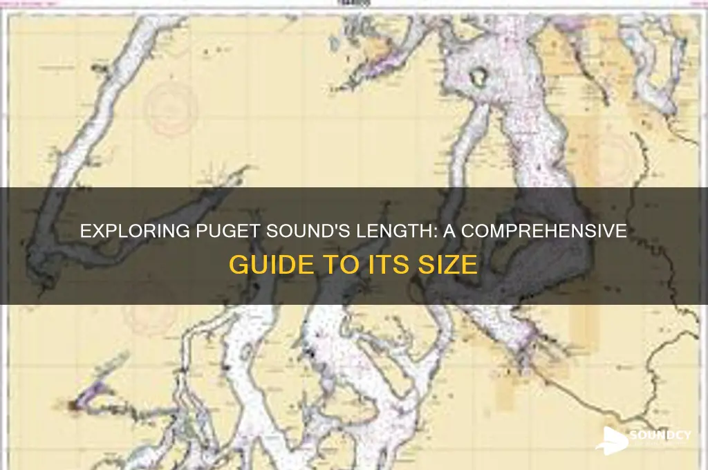how long is the puget sound