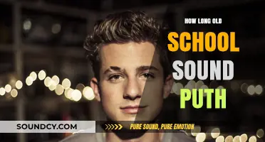 Reviving Old School Puth: Timeless Sound's Enduring Legacy and Modern Appeal
