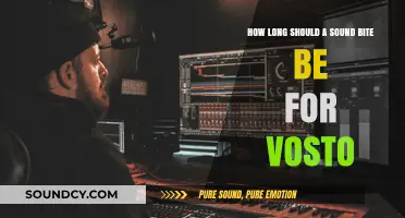 Optimal Sound Bite Length for Vosto: A Concise Guide