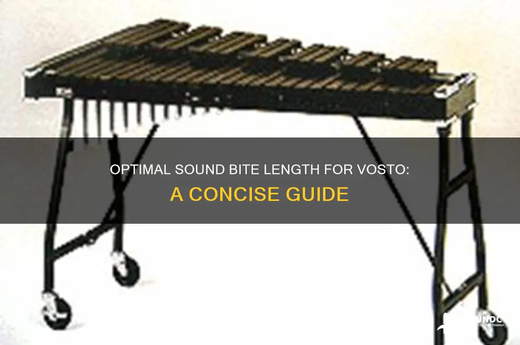 how long should a sound bite be for vosto