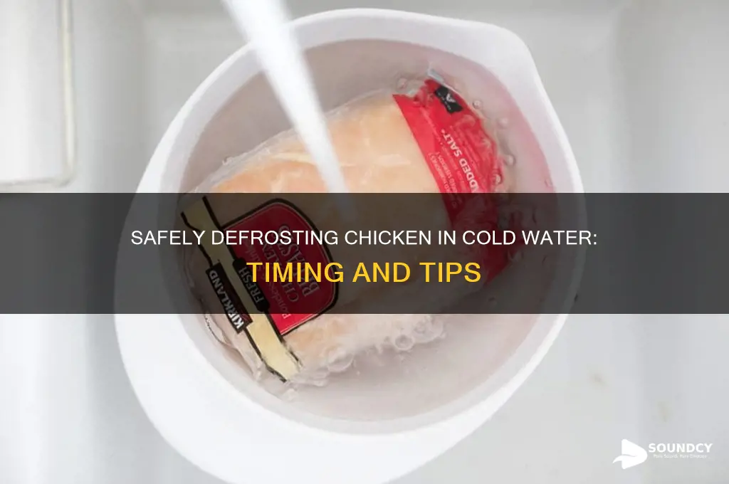 how long sound chicken be defrosted in cold water
