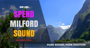 Exploring Milford Sound: Ideal Time to Spend in New Zealand’s Fiord