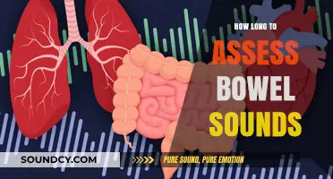 Assessing Bowel Sounds: Optimal Timing for Accurate Clinical Evaluation