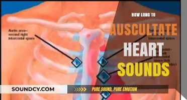Mastering Auscultation: Optimal Duration for Accurate Heart Sound Assessment