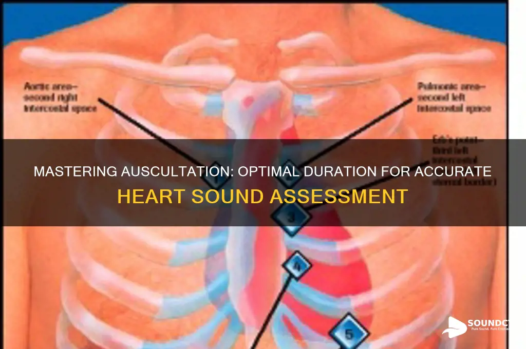 how long to auscultate heart sounds
