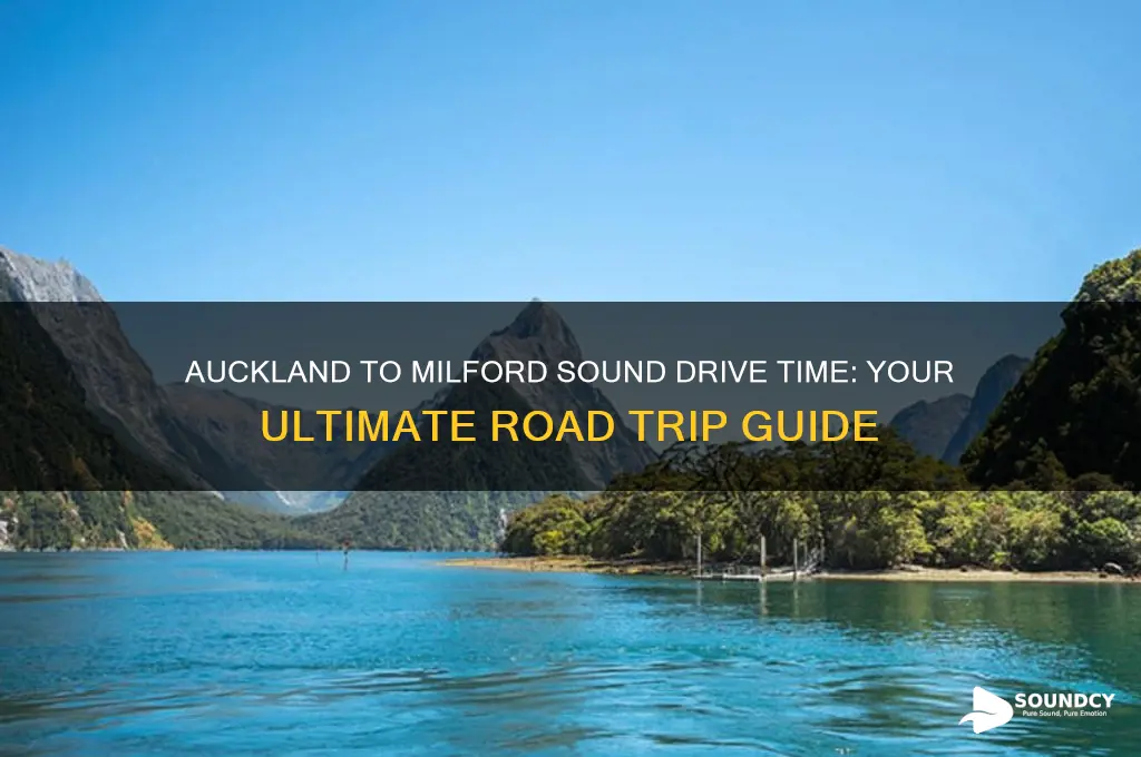 how long to drive from auckland to milford sound