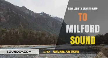 Driving Te Anau to Milford Sound: Time, Tips, and Scenic Stops