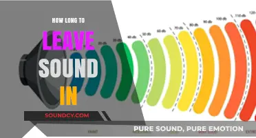 Optimal Sound Duration: How Long Should You Leave Audio Playing?