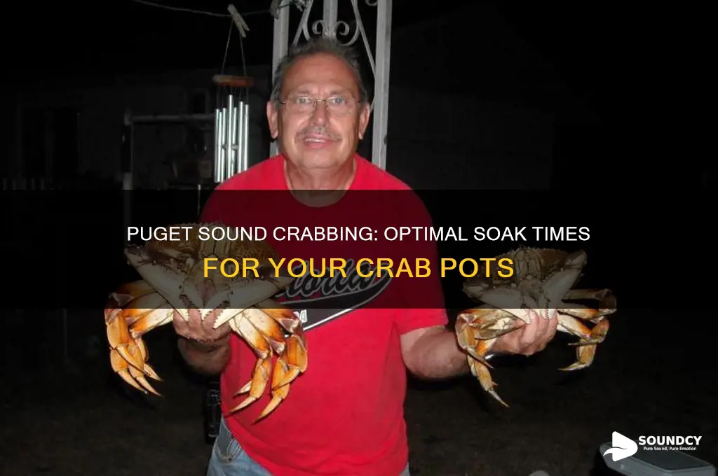 how long to let crab pots soak puget sound