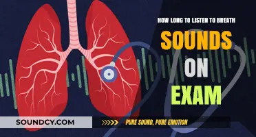 Mastering Auscultation: Optimal Time for Assessing Breath Sounds on Exam