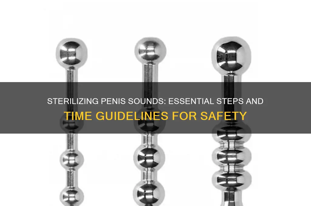 how long to sterlize penis sounds