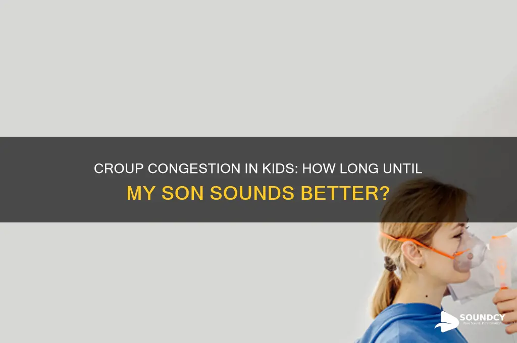 how long will my son sound vcongested after croup