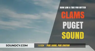 Perfect Puget Sound Tide Levels for Harvesting Butter Clams Safely