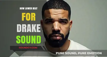 Mastering Drake's Signature Sound: Techniques to Achieve Lower Beats