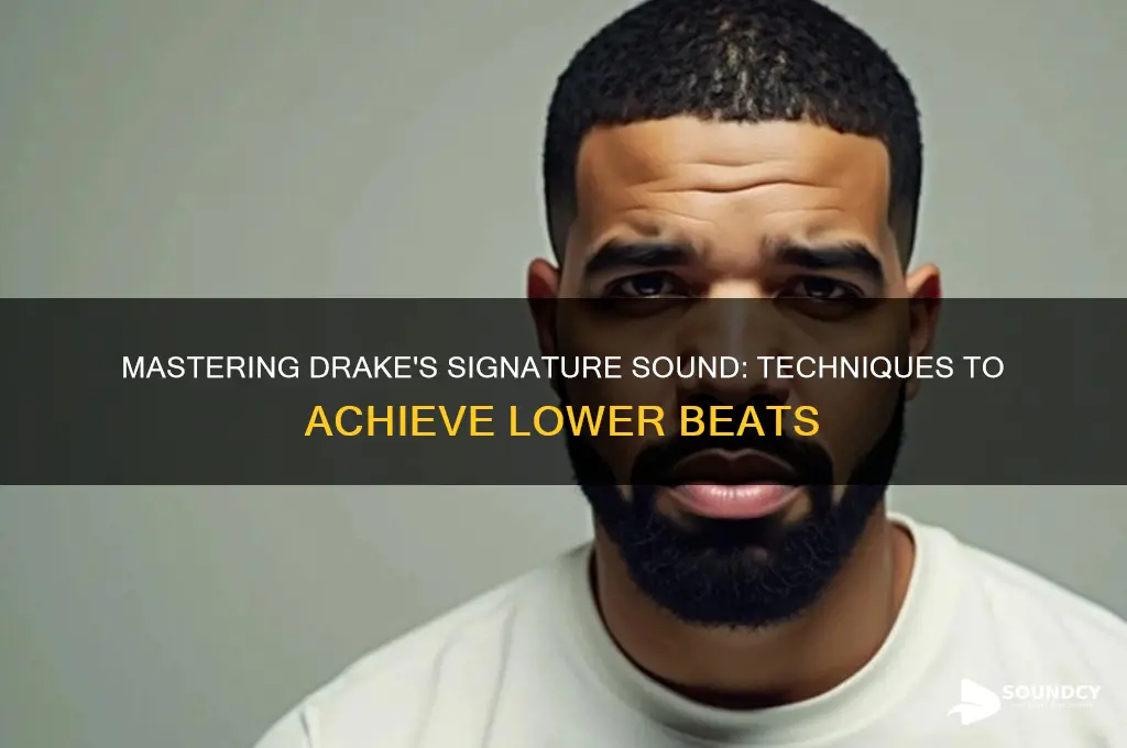 how lower beat for drake sound