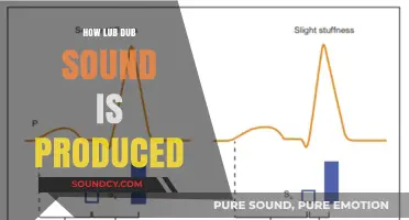 Understanding the Heart's Lub Dub: How Cardiac Sounds Are Produced