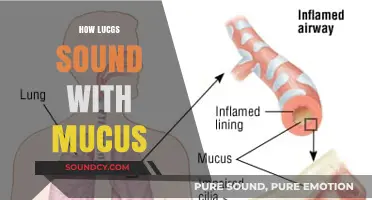 Understanding the Sound of Mucus-Filled Lungs: A Comprehensive Guide