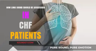 Assessing Lung Sounds in CHF Patients: Techniques and Clinical Insights