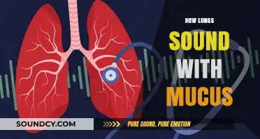 Understanding Mucus-Filled Lungs: Decoding Abnormal Breath Sounds and Symptoms