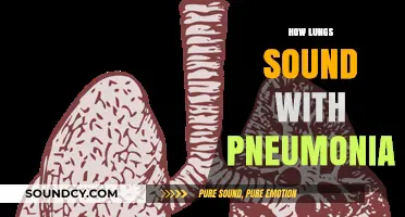 Understanding Pneumonia: What Abnormal Lung Sounds Reveal About Infection