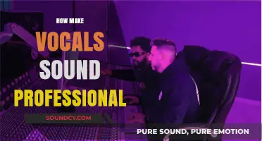 Mastering Vocal Production: Tips for Professional-Sounding Vocals