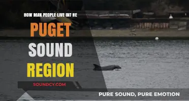 Exploring Puget Sound: Population Insights and Regional Lifestyle Trends
