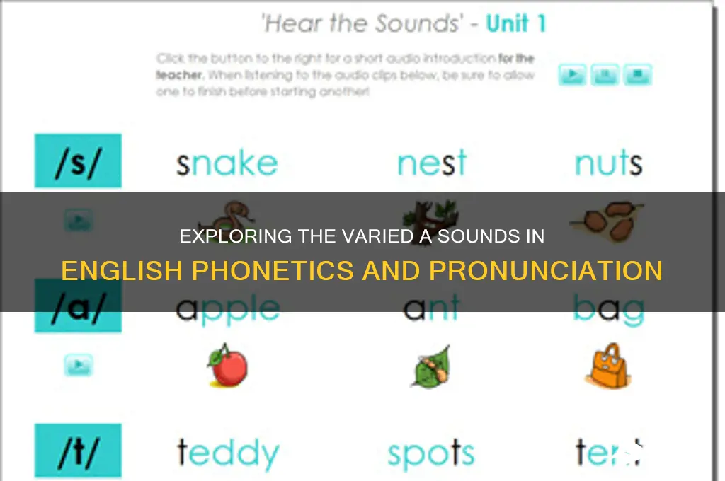 how many a sounds are there