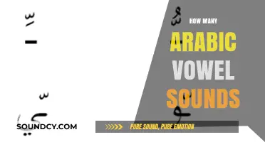Exploring the Richness of Arabic Vowel Sounds: A Comprehensive Guide