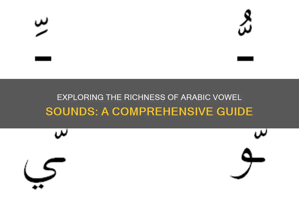 how many arabic vowel sounds
