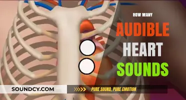 Understanding the Audible Heart Sounds: A Comprehensive Guide to Cardiac Auscultation