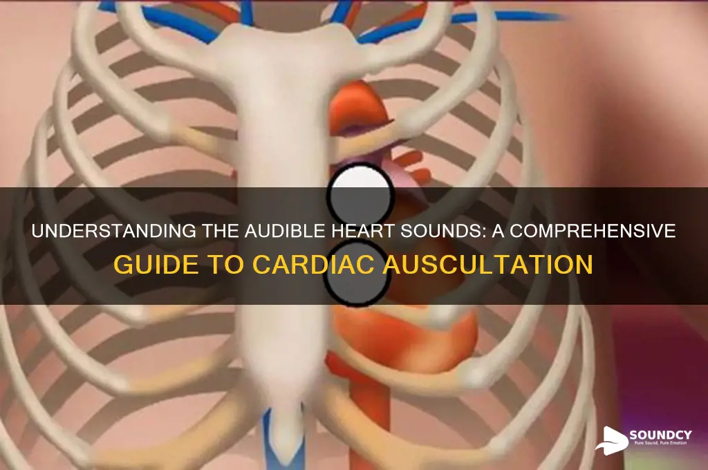how many audible heart sounds