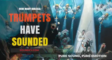 Biblical Trumpets: How Many Have Sounded and What It Means