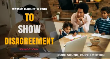 Expressing Dissent: The Art of Blasting Disagreement Signals Effectively