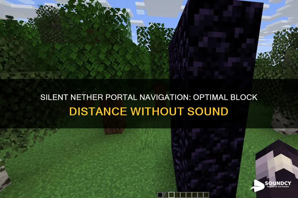 how many blocks away from nether portal without sound
