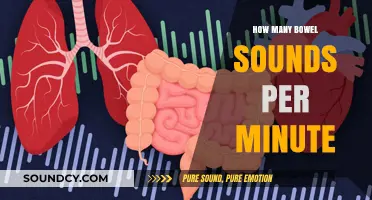 Monitoring Bowel Sounds: What's a Healthy Rate?