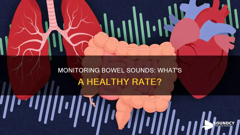 how many bowel sounds per minute