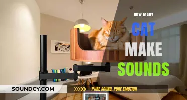Understanding the Varied Sounds Cats Make and Their Meanings