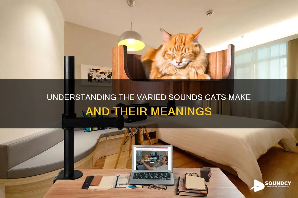 how many cat make sounds