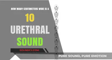 Understanding Urethral Sounds: Width of a 10 Size in Centimeters