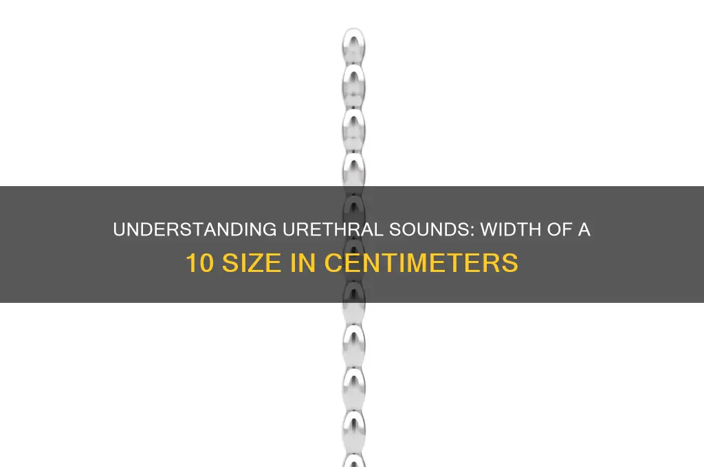 how many centimeters wide is a 10 urethral sound