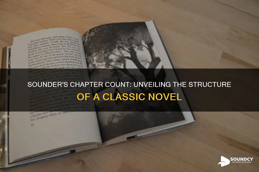 how many chapters are in sounder